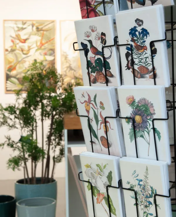 Typisch-TICA-In-the-spotlight-Ceramics-Limburg_slider