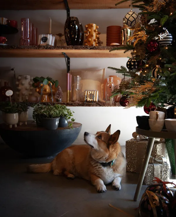 TICA_Inspiratiepagina_Binnenkijken_GenietBloemLifestyle_slider_2