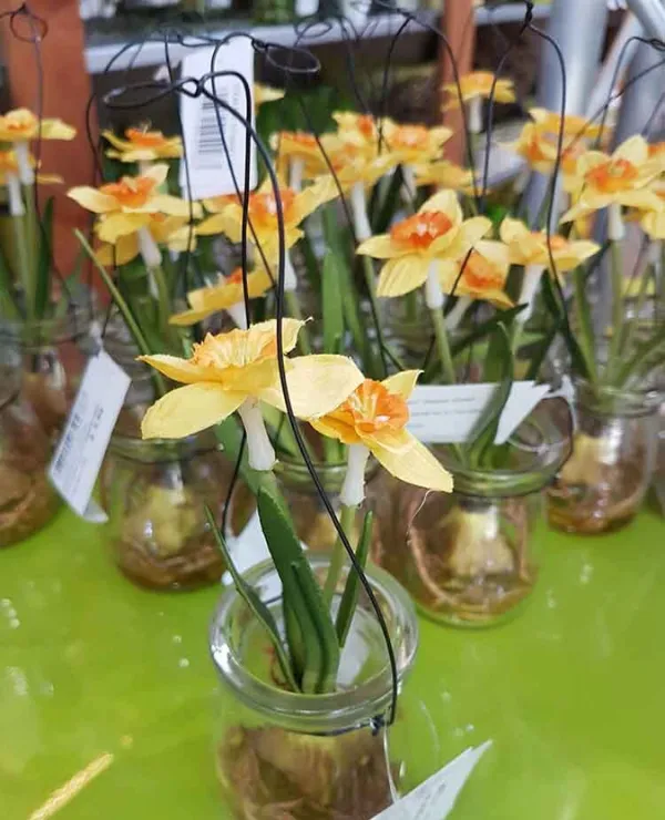 Merken_BellArte_woondecoratie