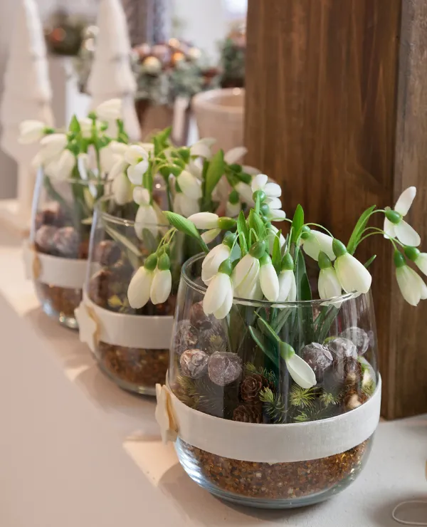 Merken_WillekeFloristik_woondecoratie