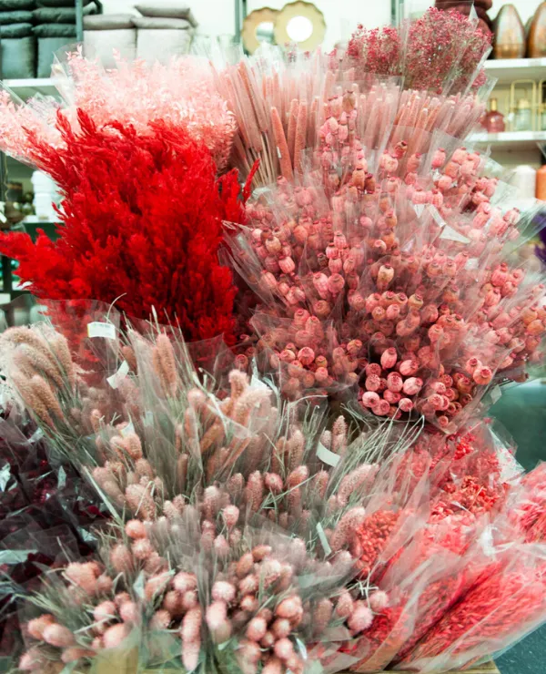 Merken_BBTrendCompany_droogbloemen_rood