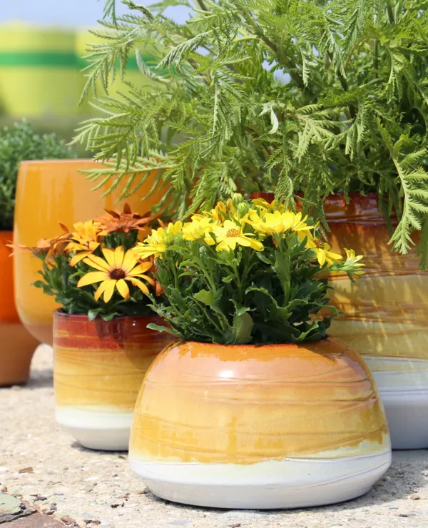 Merken_cocooncollection_pot