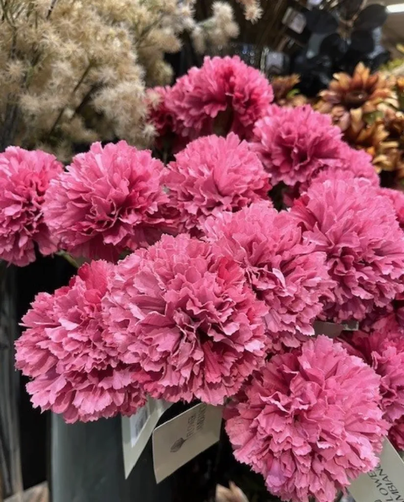 Exposant_Flower Ambiance