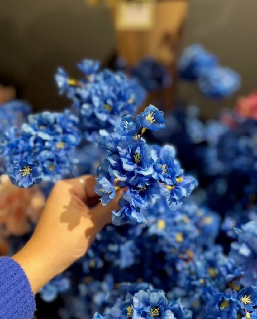 Exposant_Flower Ambiance