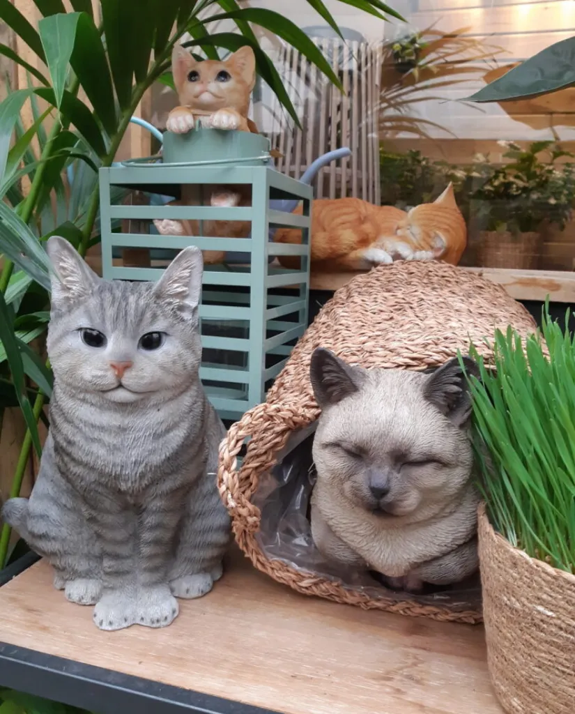 Exposant_H&H Collections