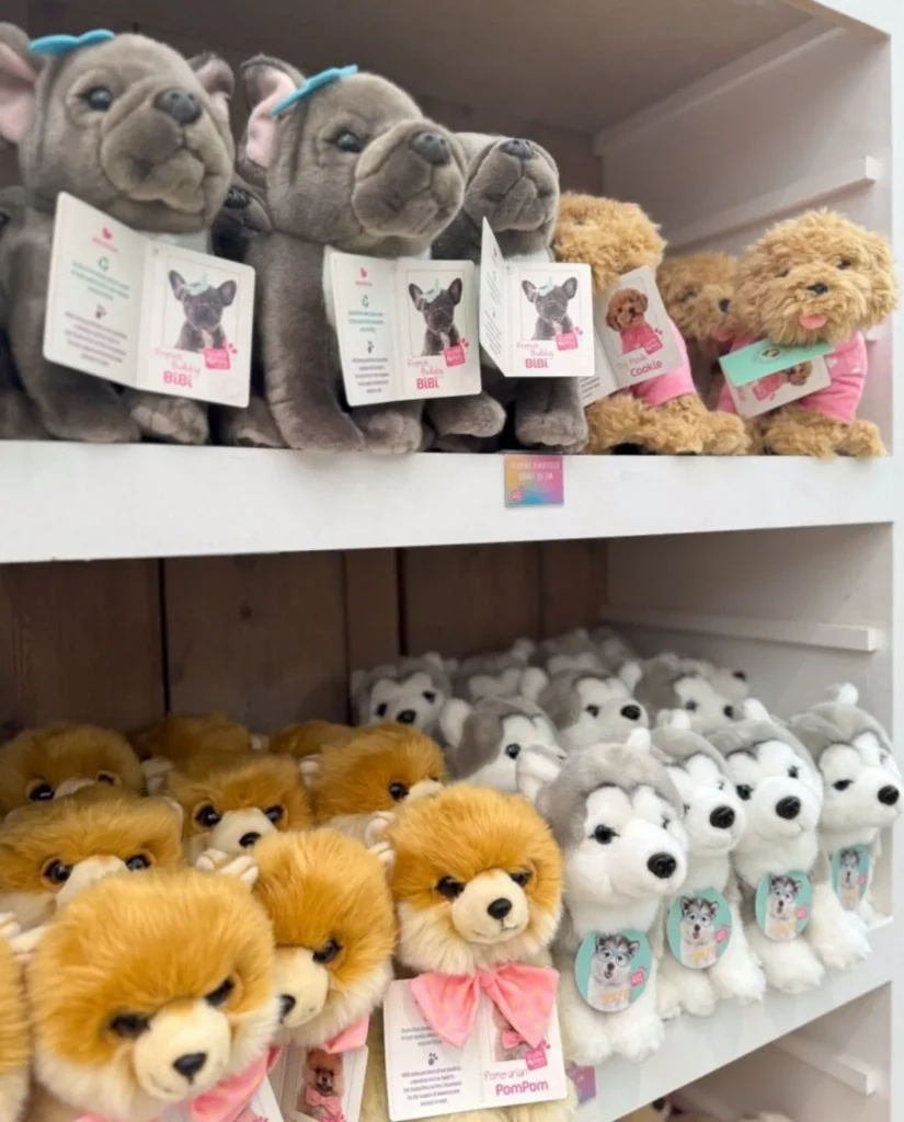 Exposant_Studio Pets