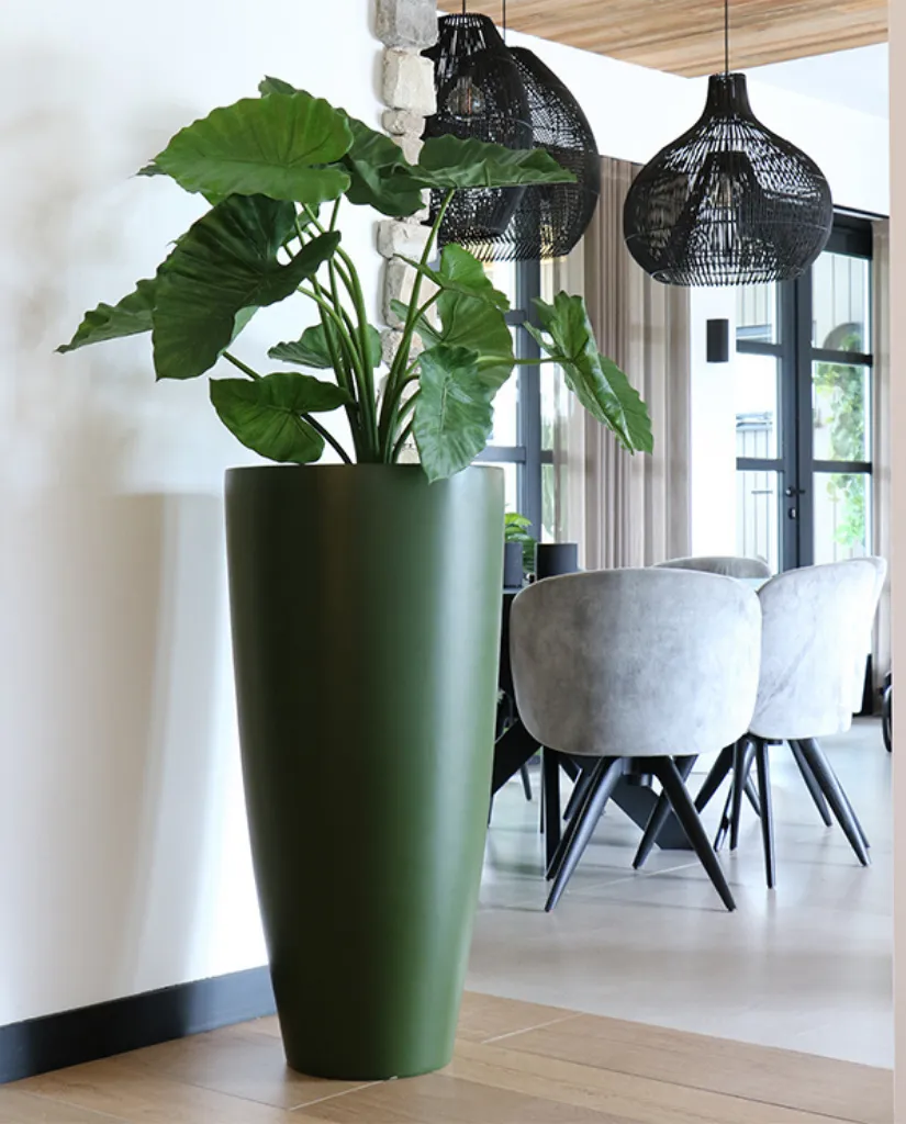 Exposant_Vase the world