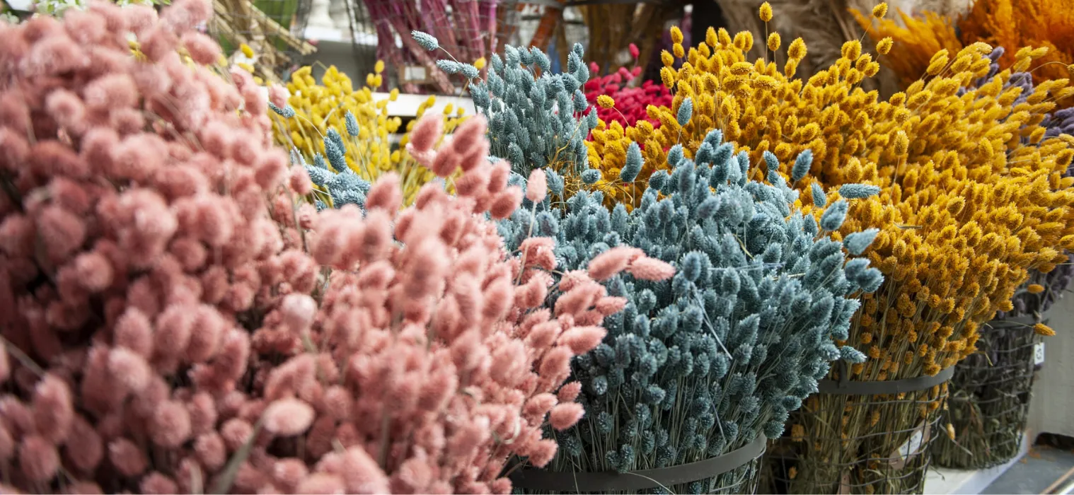 Merken_BBTrendCompany_droogbloemen_kleurrijk_header