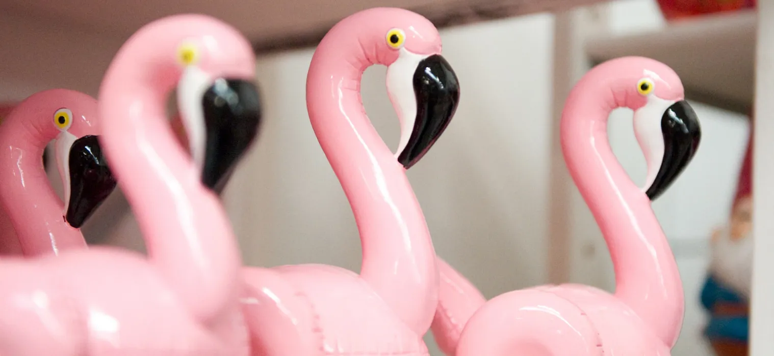 Merken_Donovic_beelden_flamingo_header