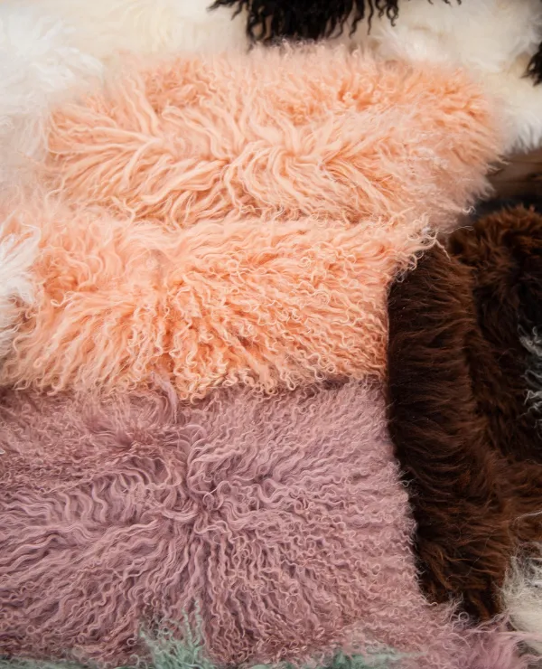 Merken_VanBurenBolsward_Algemeen_2