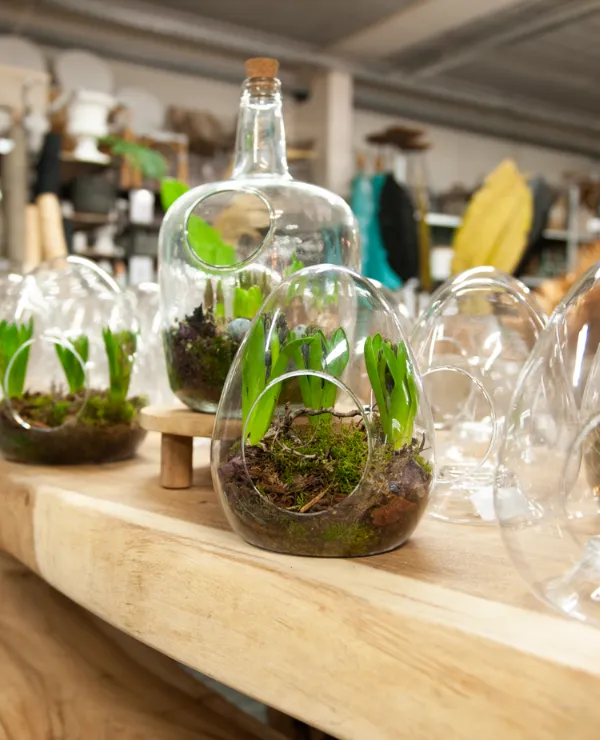 Merken_Lauco_Algemeen_Vaasjes