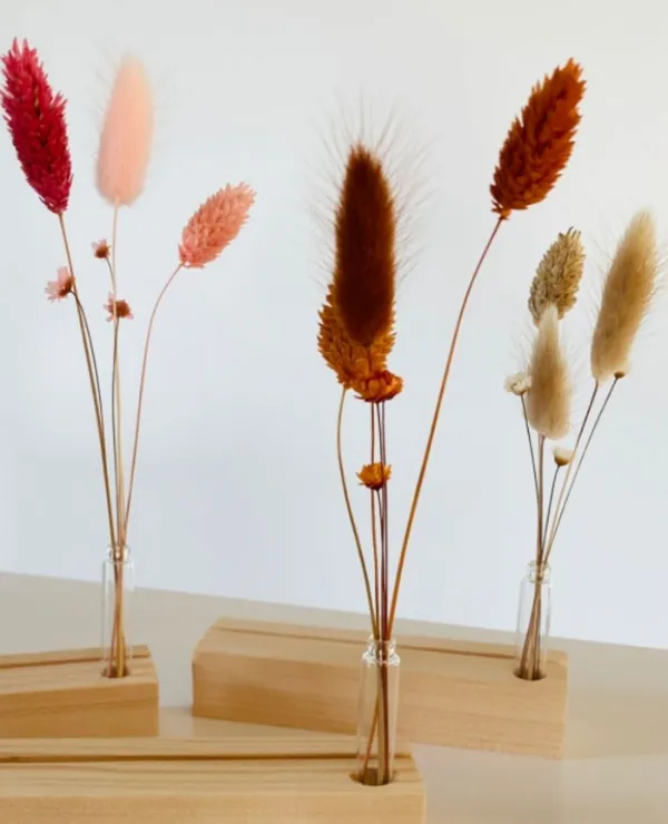 Merken_Ve-time_Algemeen_Droogbloemen