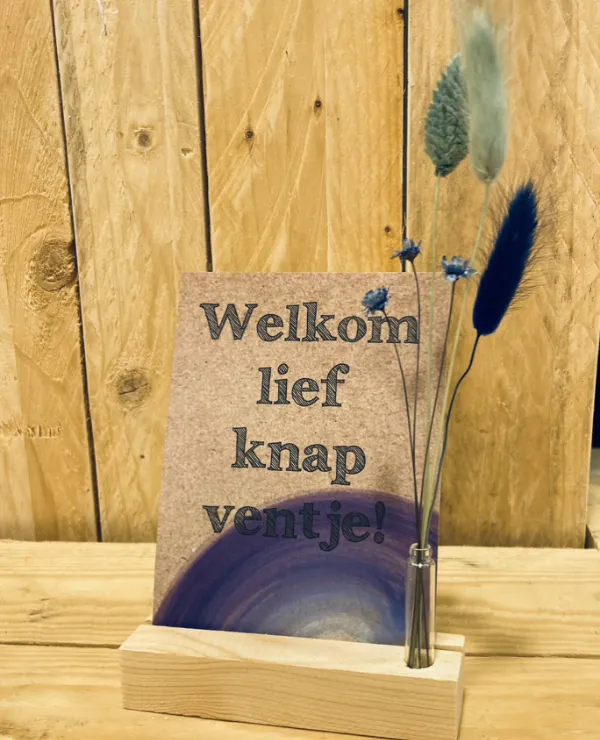 Merken_Ve-time_Algemeen_Droogbloemen_2