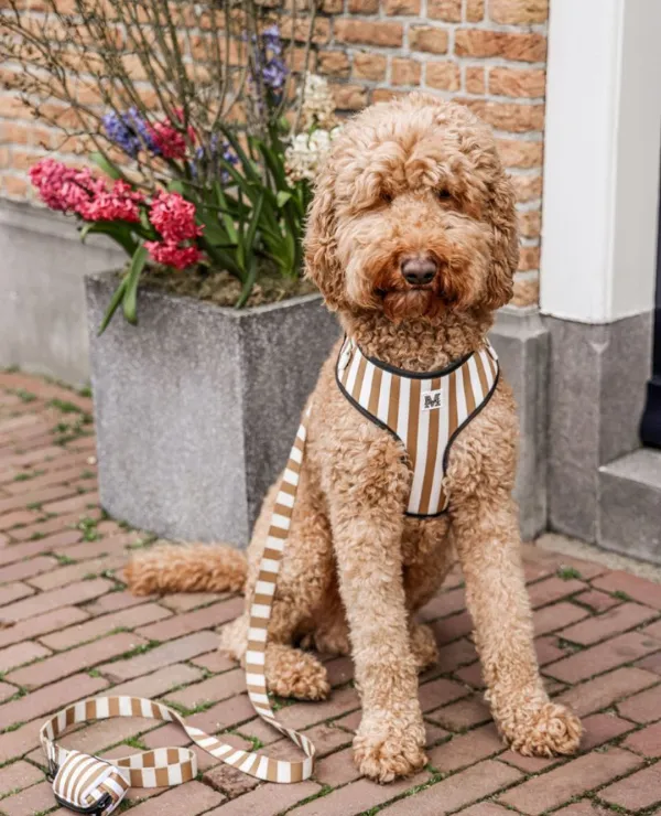 Merken_MoosLeash_Algemeen_Dierenaccesoires_2