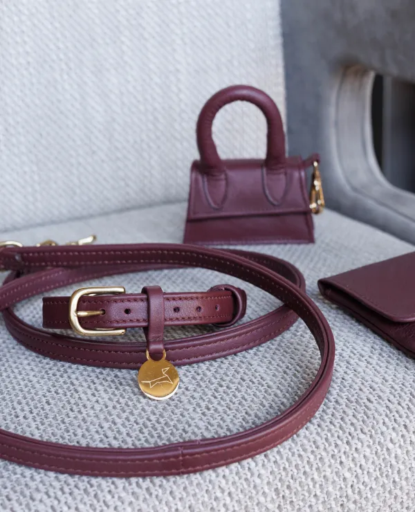 Merken_TheDogMusthaves_Algemeen_Dierenaccesoires_2