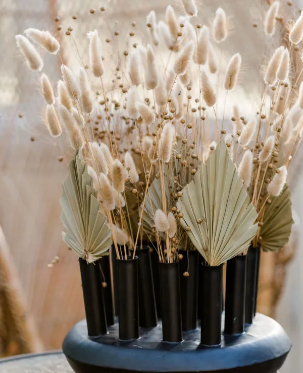 Merken_HBXNaturalLiving_Algemeen_Droogbloemen