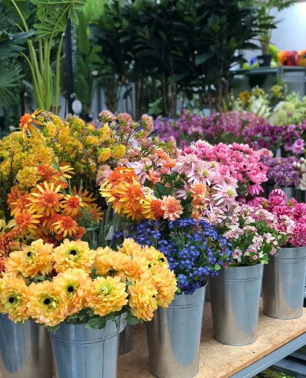 Merken_W.deJon&Zn._Algemeen_2