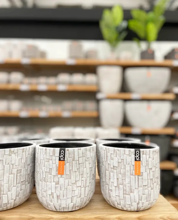 Merken_CapiEurope_Algemeen_1