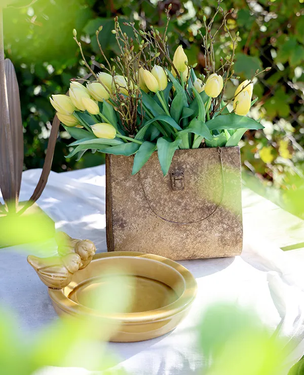 TICA_merken_Decostar_tweeluik_2.1