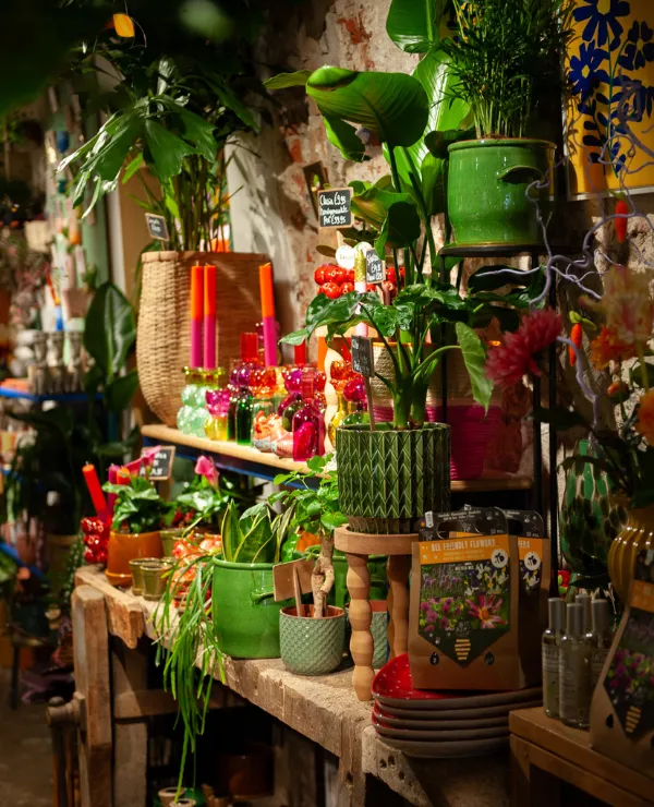 Typisch-TICA-binnenkijken-bij-Rood-Bloem_slider