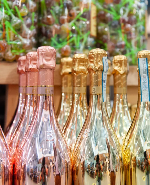 Typisch-TICA-in-the-spotlight-NiJaDo_slider