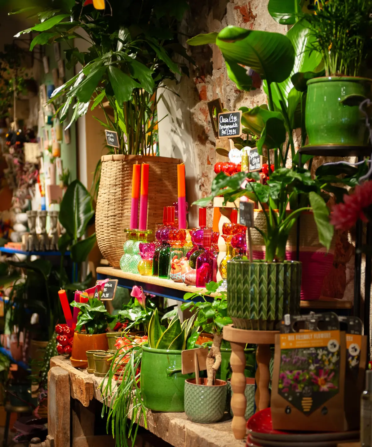 TICA klantsegment Bloem en Groen bloemen, potten en vazen