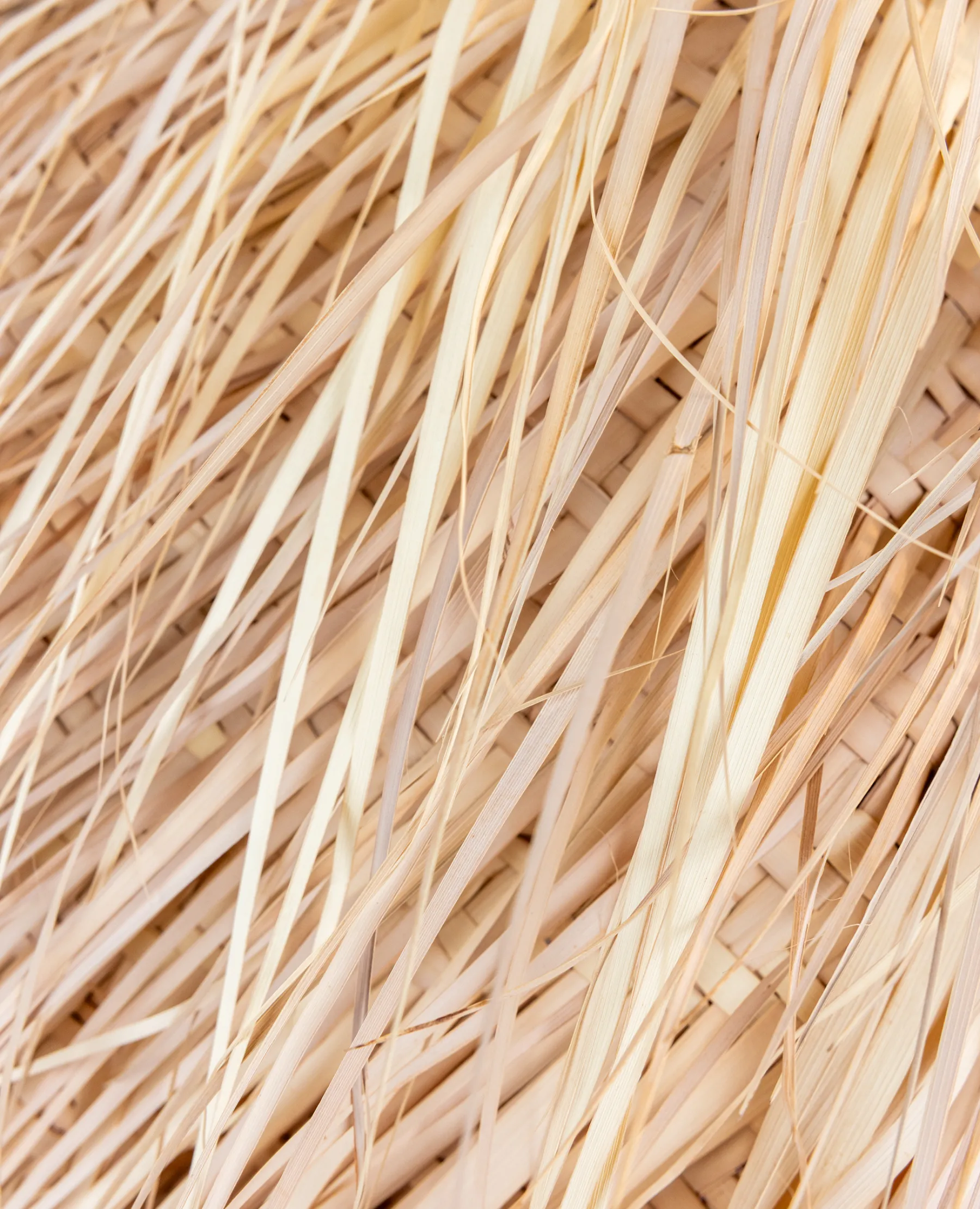 TICA_Blog_tuinaccessoires_groothande_slider