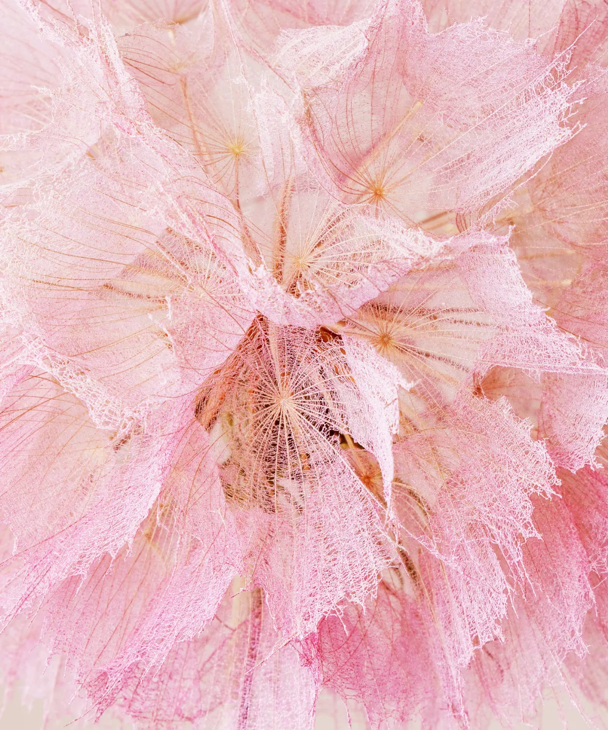 Inspiratiepagina_trendguide_GentlePower_uitgelicht