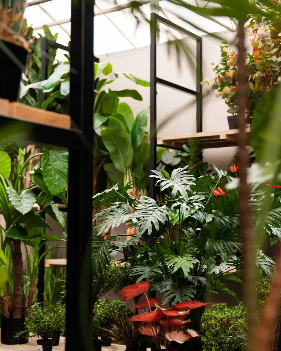 TICA_Blog_kunstplanten-groothandel_uitgelicht