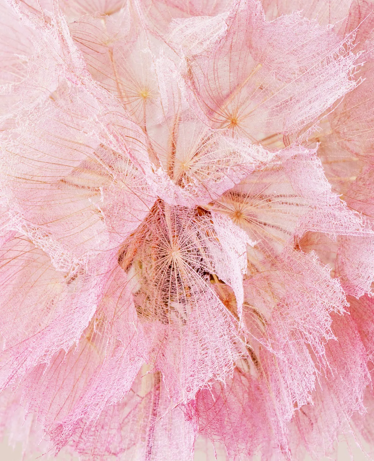 TICA_Inspiratiepagina_trend_GentlePower_tweeluik_1.2