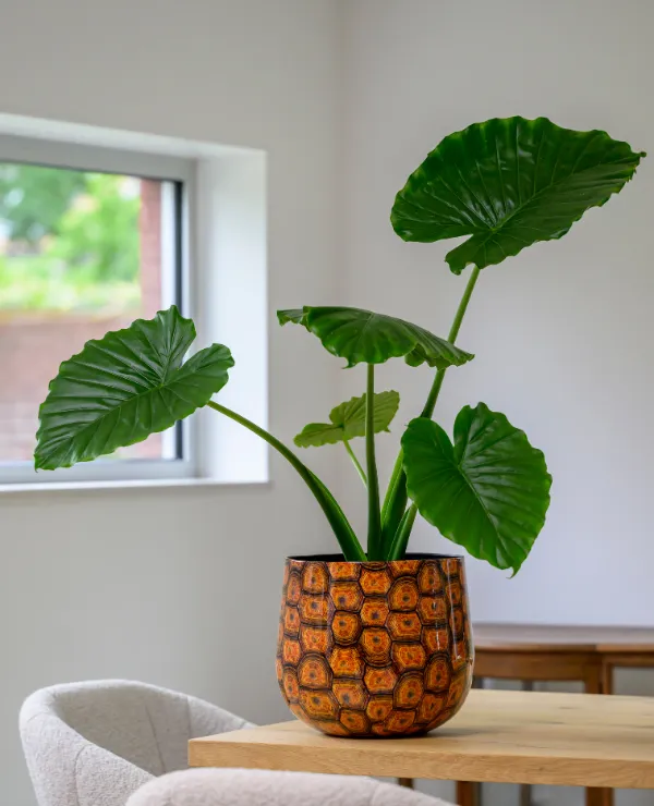 TICA_merken_PassionForPottery_tweeluik-3