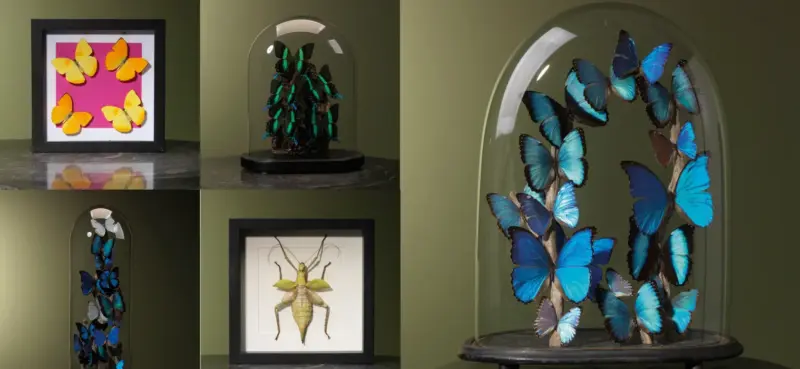 TICA_merken_ByMax_landscape_beeld