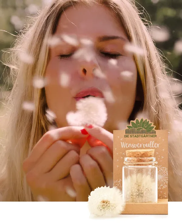 TICA_merken_DIe-Stadtgartner_tweeluik