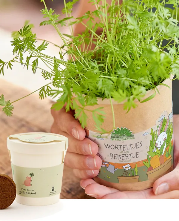 TICA_merken_DIe-Stadtgartner_tweeluik