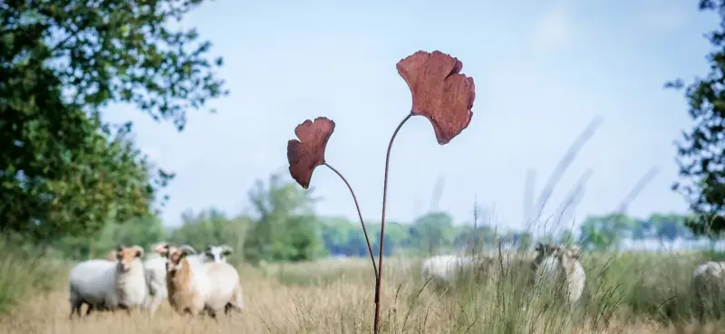 TICA_brands_Thermobrass_landscape_image