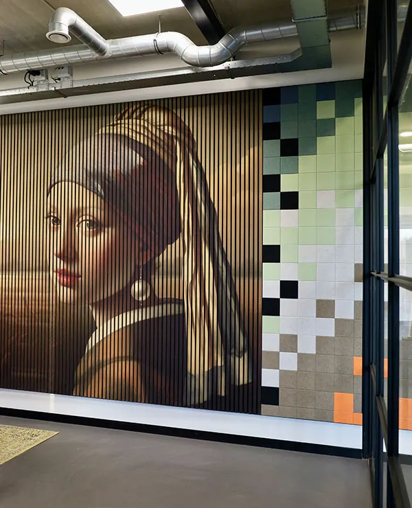 TICA_merken_iNSONUS_tweeluik