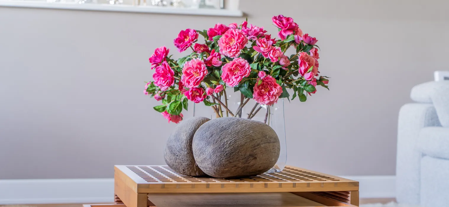 TICA_EDELPINK & GOLDGRÜN_landscape_beeld