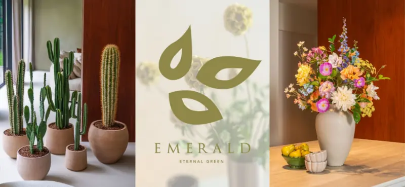 Emerald at TICA