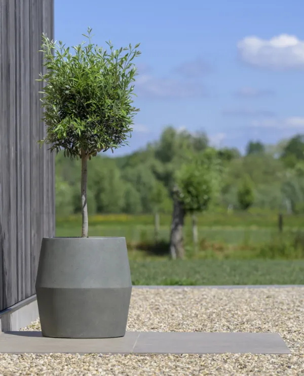 TICA_merken_NDT_International_tweeluik