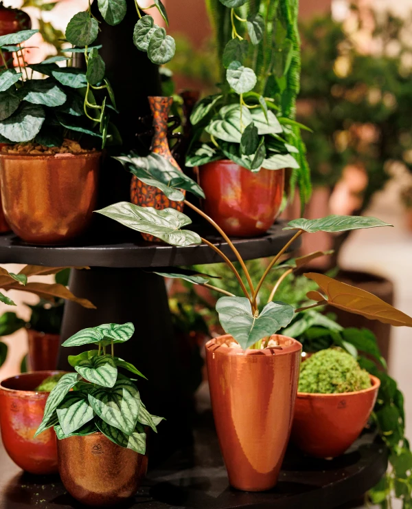 Kunstplanten van POPPINGart bij TICA