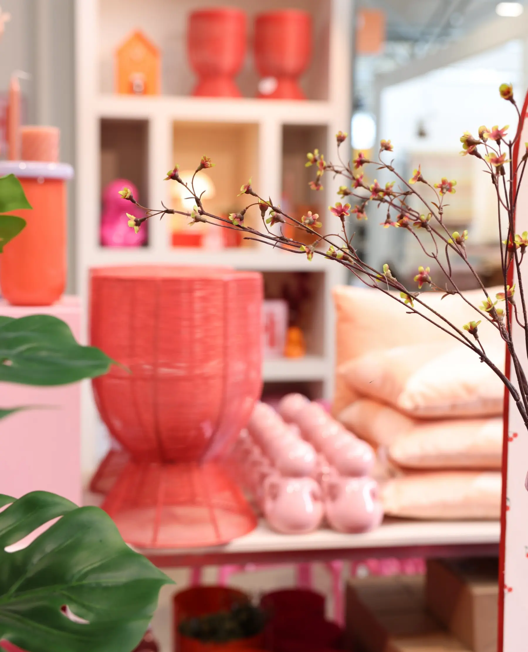 Seizoensassortiment roze en rood bij TICA