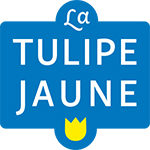 TICA Trends & Trade - Exposant - Tulipe Jaune