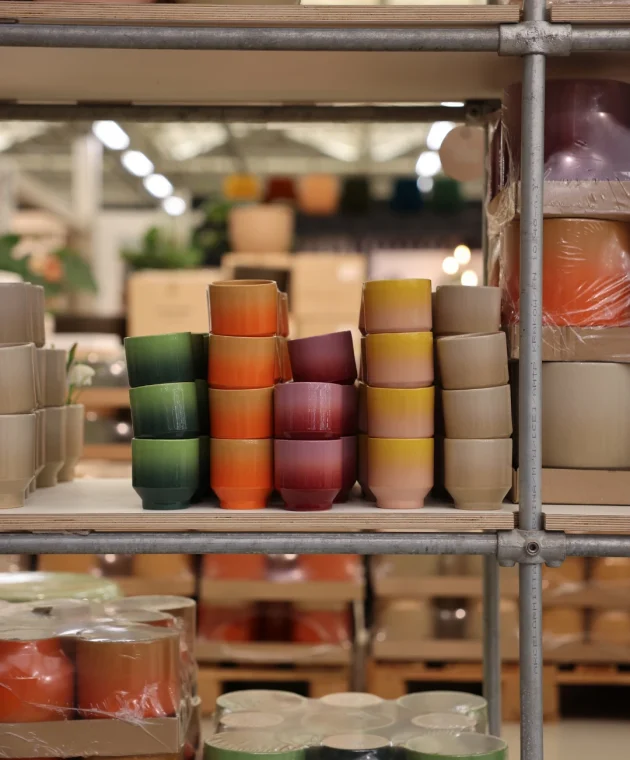 green, orange, purple, yellow, and beige pots for the autumn season