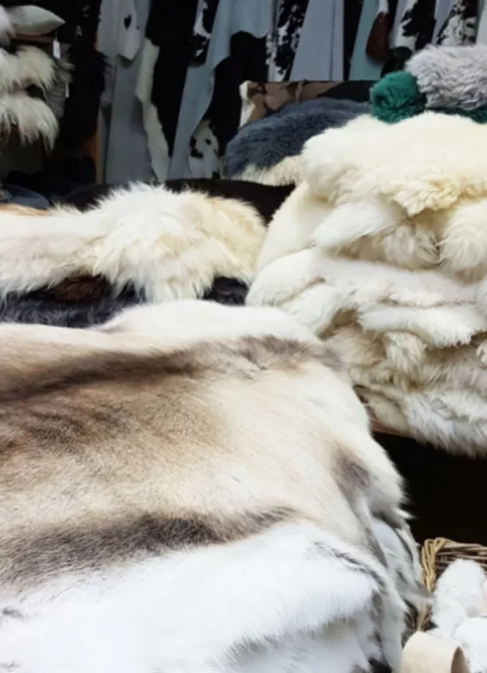 Assortiment_Home&Living_NatuurlijkeDecoratie_3