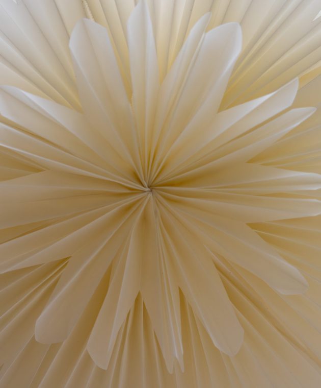 beige bloem trend herfst/winter 26/27 TICA