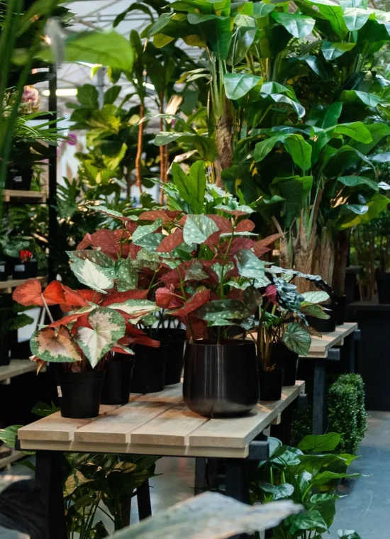 Assortiment_Garden-Outdoor_Kunstbloemen