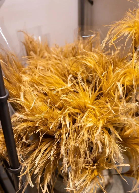 Assortiment_Garden-Outdoor_droogbloemen