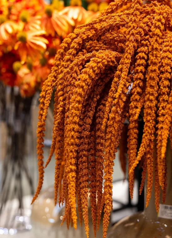 Assortiment_Garden-Outdoor_droogbloemen