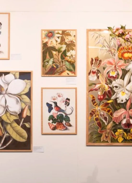 Assortiment_HomeLiving_Fotolijsten