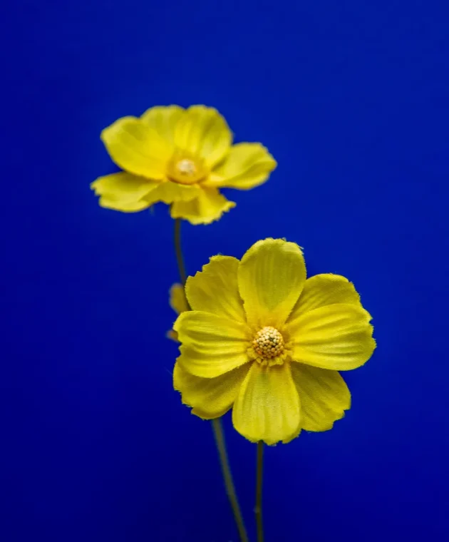 TICA_Inspiratiepagina_trend_FluidBloom_slider_4